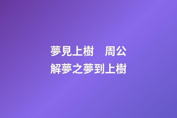 夢見上樹　周公解夢之夢到上樹